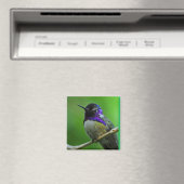 Hummingbird Magnet (Insitu (Vaatwasser))