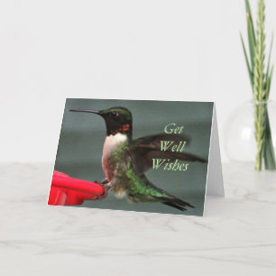 Hummingbird Male 8891- aanpassen elke gelegenheid Kaart