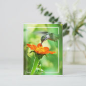 Hummingbird Meal Briefkaart (Staand voorkant)
