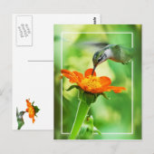 Hummingbird Meal Briefkaart (Voorkant / Achterkant)