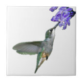 Hummingbird met Mona Lavender Tegeltje (Voorkant)