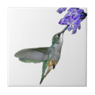 Hummingbird met Mona Lavender Tegeltje