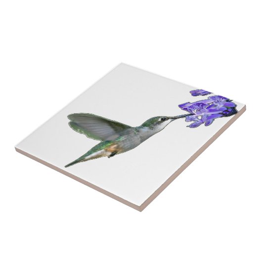 Hummingbird met Mona Lavender Tegeltje (Zijkant)