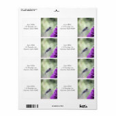 Hummingbird met paarse dahlias etiket (Full Sheet)