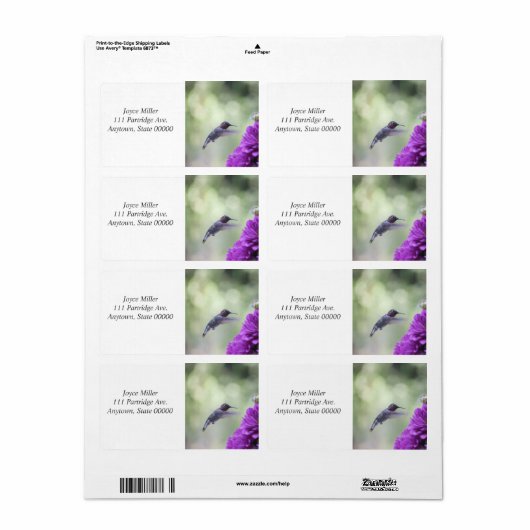 Hummingbird met paarse dahlias etiket (Full Sheet)