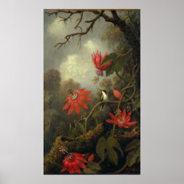 Hummingbird met passiebloemen poster