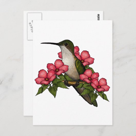Hummingbird met roze bloemen: Natuur Art. Briefkaart (Voorkant / Achterkant)