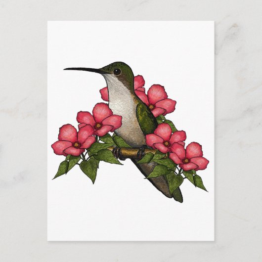 Hummingbird met roze bloemen: Natuur Art. Briefkaart (Voorkant)