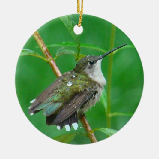 Hummingbird met spreiding van de vleugels keramisch ornament (Voorkant)