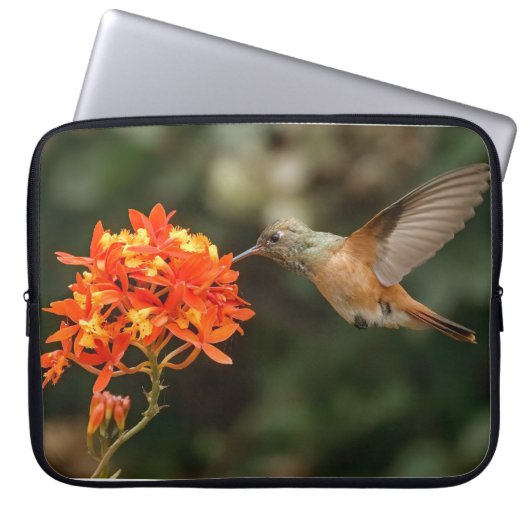 Hummingbird met ventilatorelektronicazak laptop sleeve (Voorkant)