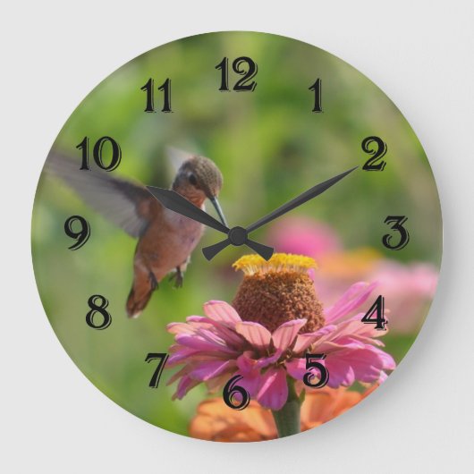 Hummingbird met Zinnia Flower Grote Klok (Voorkant)
