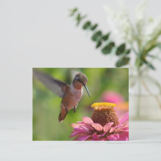 Hummingbird met Zinnias Briefkaart (Staand voorkant)