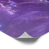 HUMMINGBIRD MOONLIGHT OASIS POSTER (Hoek)