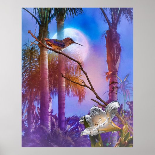 HUMMINGBIRD MOONLIGHT OASIS POSTER (Voorkant)