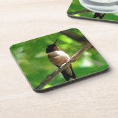 Hummingbird Morning Bier Onderzetter (Linkerzijde)