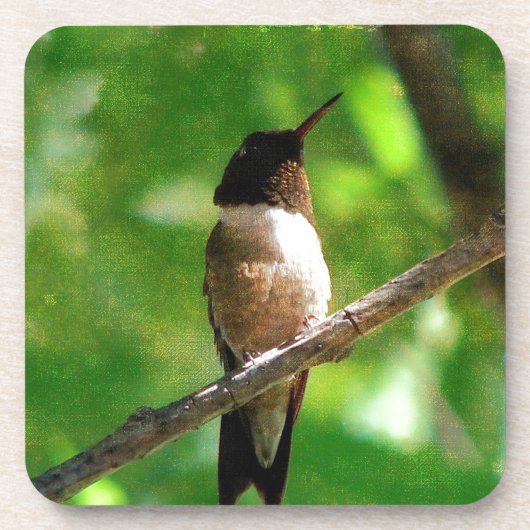 Hummingbird Morning Bier Onderzetter (Voorkant)