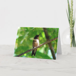 Hummingbird Morning Kaart