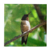 Hummingbird Morning Tegeltje (Voorkant)