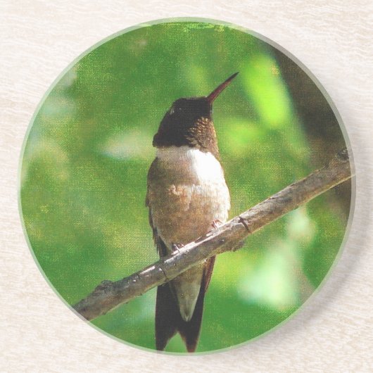 Hummingbird Morning Zandsteen Onderzetter (Voorkant)