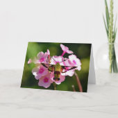 Hummingbird Moth Blank Wenskaart Kaart (Voorkant)