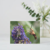 Hummingbird Moth Briefkaart (Staand voorkant)