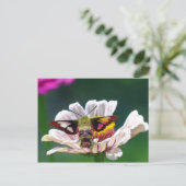 Hummingbird Moth Briefkaart (Staand voorkant)