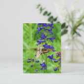 Hummingbird moth briefkaart (Staand voorkant)