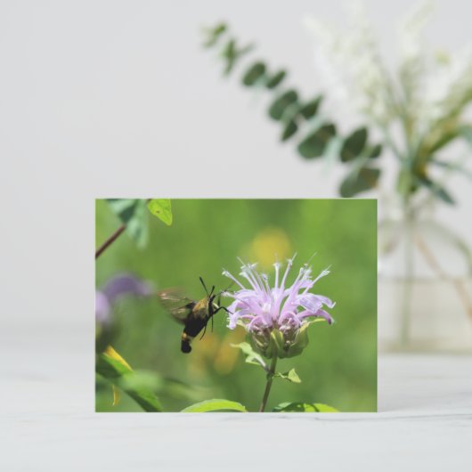 Hummingbird Moth Briefkaart (Staand voorkant)