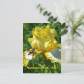 HUMMINGBIRD MOTH BRIEFKAART (Staand voorkant)