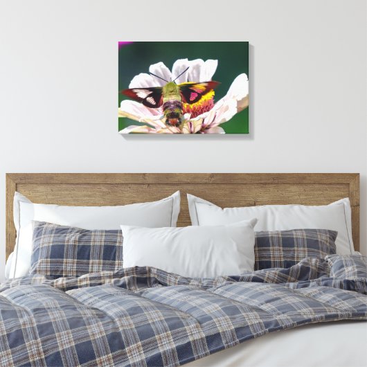 Hummingbird Moth Canvas Afdruk (Insitu (Slaapkamer))