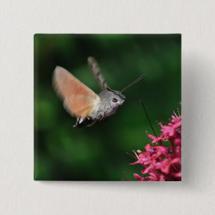 Hummingbird moth hovering vierkante button 5,1 cm