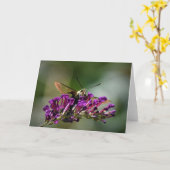 Hummingbird Moth, kaart (Gele Bloem)
