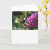 Hummingbird Moth, kaart (Gele Bloem)