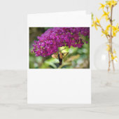 Hummingbird Moth, kaart (Gele Bloem)