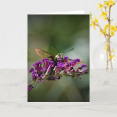 Hummingbird Moth, kaart (Gele Bloem)