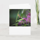 Hummingbird Moth, kaart (Voorkant)