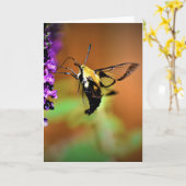 Hummingbird Moth, kaart (Gele Bloem)