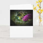 Hummingbird Moth, kaart (Gele Bloem)