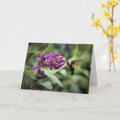 Hummingbird Moth, kaart (Gele Bloem)