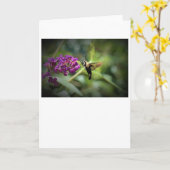 Hummingbird Moth, kaart (Gele Bloem)