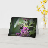 Hummingbird Moth, kaart (Gele Bloem)