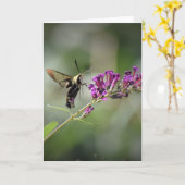 Hummingbird Moth, kaart (Gele Bloem)