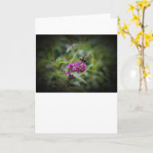 Hummingbird Moth, kaart (Gele Bloem)