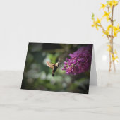 Hummingbird Moth, kaart (Gele Bloem)