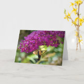 Hummingbird Moth, kaart (Gele Bloem)