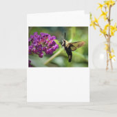 Hummingbird Moth, kaart (Gele Bloem)