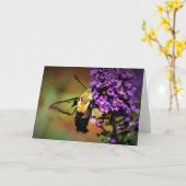 Hummingbird Moth, kaart (Gele Bloem)