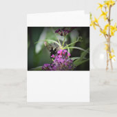 Hummingbird Moth, kaart (Gele Bloem)