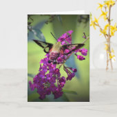 Hummingbird Moth, kaart (Gele Bloem)