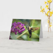 Hummingbird Moth, kaart (Gele Bloem)